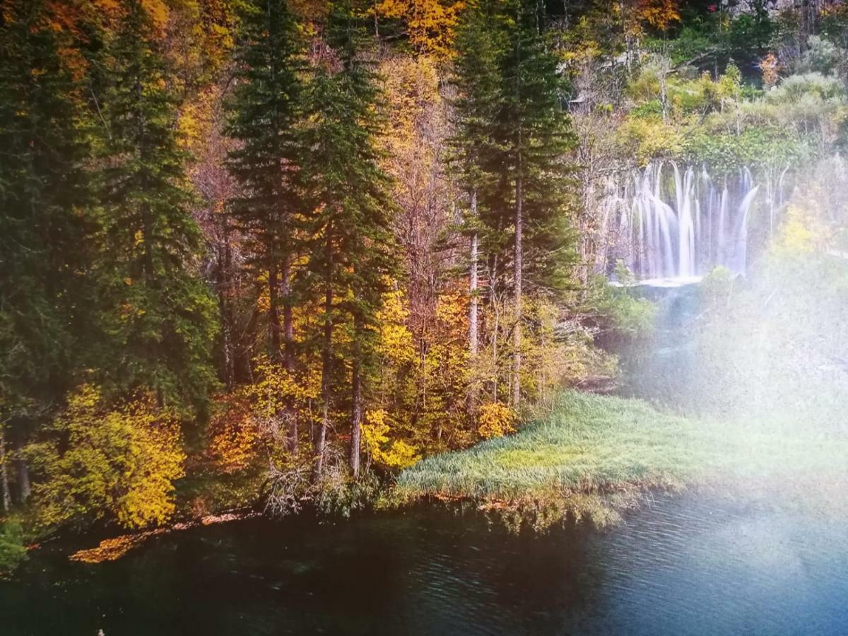 Apartman Marija Brajdic Rakovica Exteriér fotografie